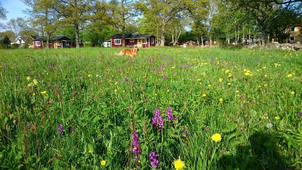 Stf Hagaby/Lantgarden Hostel Löttorp Екстериор снимка
