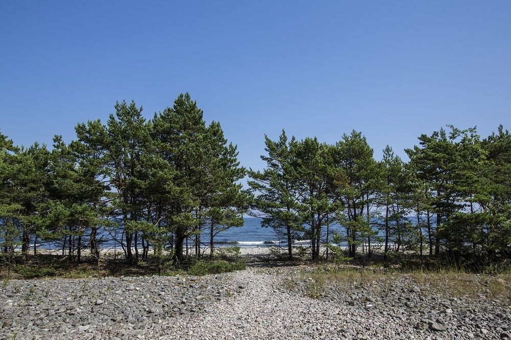 Stf Hagaby/Lantgarden Hostel Löttorp Екстериор снимка